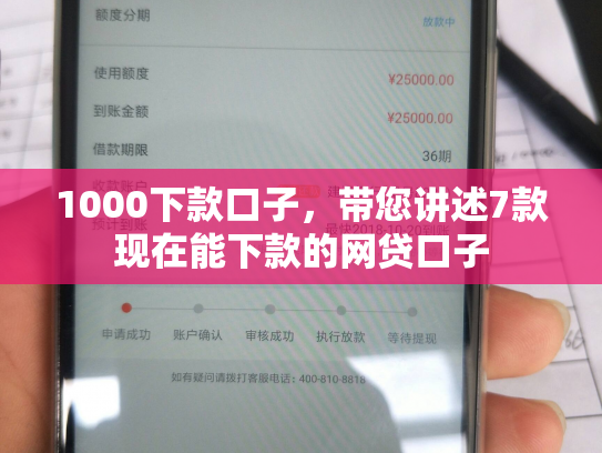1000下款口子，带您讲述7款现在能下款的网贷口子