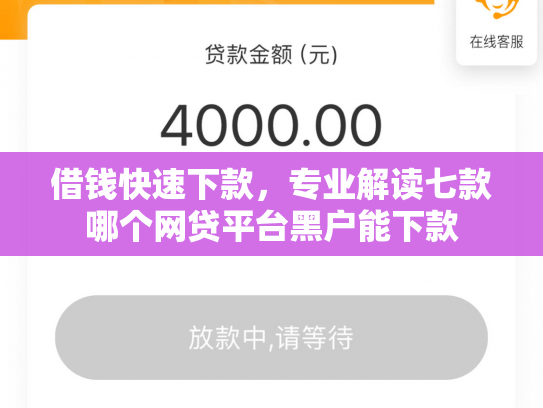 借钱快速下款，专业解读七款哪个网贷平台黑户能下款