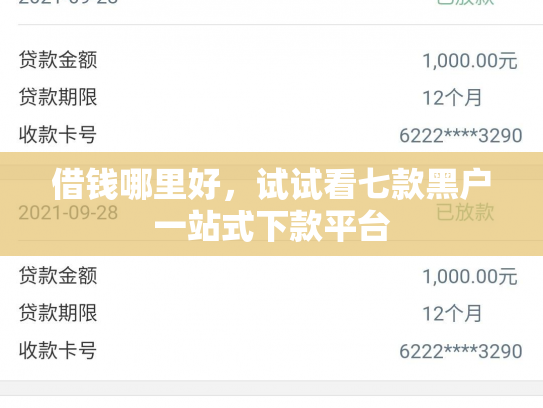 借钱哪里好，试试看七款黑户一站式下款平台