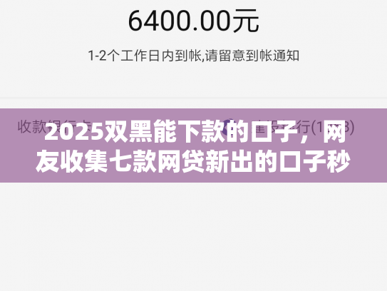 2025双黑能下款的口子，网友收集七款网贷新出的口子秒下款