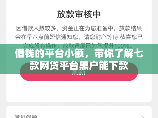 借钱的平台小额，带你了解七款网贷平台黑户能下款