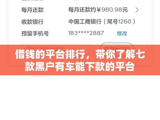 借钱的平台排行，带你了解七款黑户有车能下款的平台