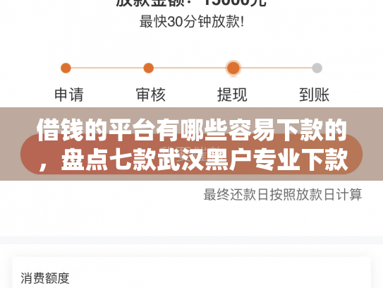 借钱的平台有哪些容易下款的，盘点七款武汉黑户专业下款的平台