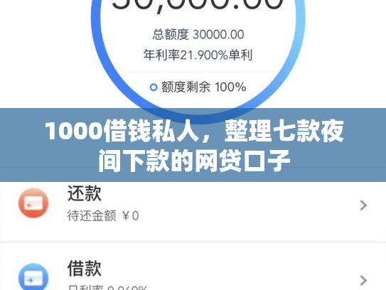 1000借钱私人，整理七款夜间下款的网贷口子