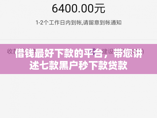借钱最好下款的平台，带您讲述七款黑户秒下款贷款