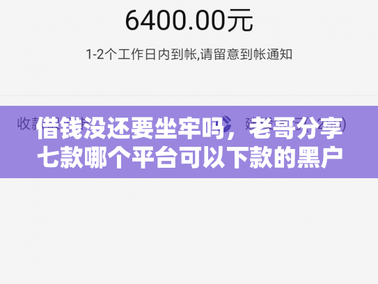 借钱没还要坐牢吗，老哥分享七款哪个平台可以下款的黑户