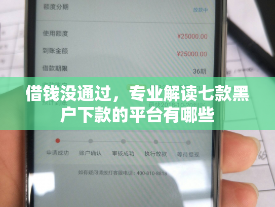 借钱没通过，专业解读七款黑户下款的平台有哪些