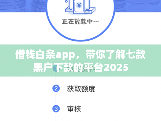 借钱白条app，带你了解七款黑户下款的平台2025