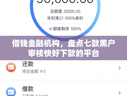 借钱金融机构，盘点七款黑户审核快好下款的平台
