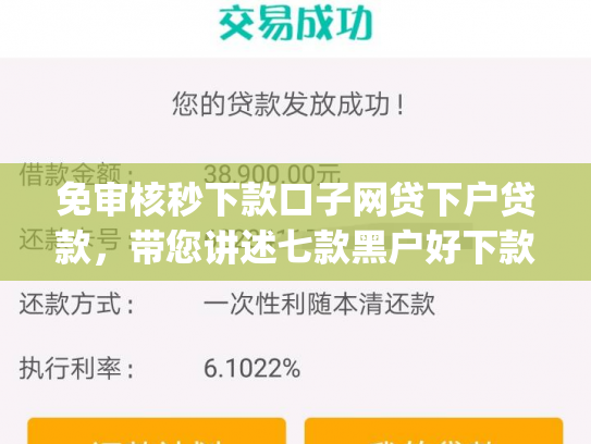 免审核秒下款口子网贷下户贷款，带您讲述七款黑户好下款的小额app