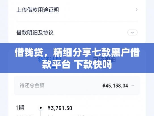 借钱贷，精细分享七款黑户借款平台 下款快吗