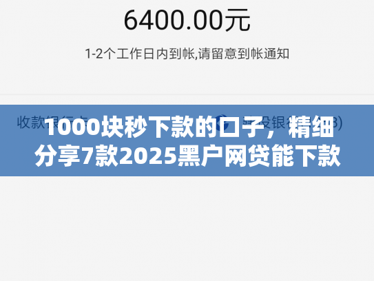1000块秒下款的口子，精细分享7款2025黑户网贷能下款的口子