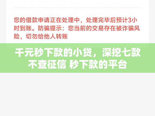 千元秒下款的小贷，深挖七款不查征信 秒下款的平台