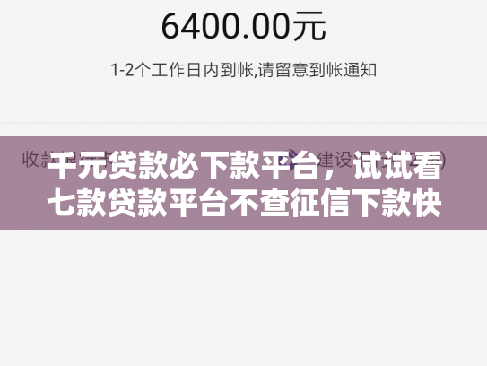 千元贷款必下款平台，试试看七款贷款平台不查征信下款快