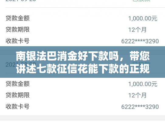南银法巴消金好下款吗，带您讲述七款征信花能下款的正规网贷
