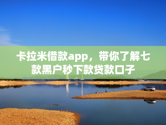 卡拉米借款app，带你了解七款黑户秒下款贷款口子