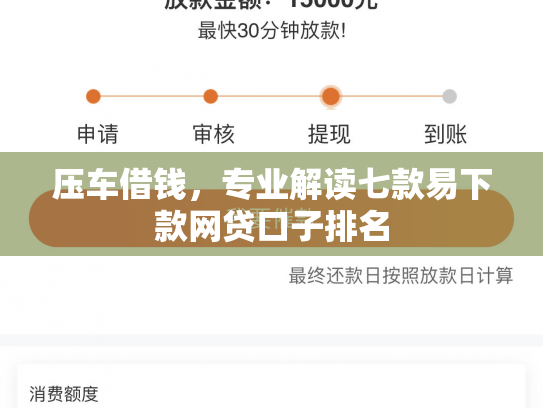 压车借钱，专业解读七款易下款网贷口子排名