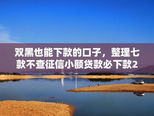 双黑也能下款的口子，整理七款不查征信小额贷款必下款2025