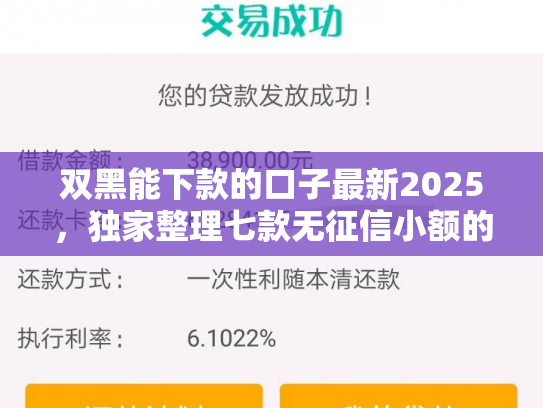 双黑能下款的口子最新2025，独家整理七款无征信小额的贷款能下款吗