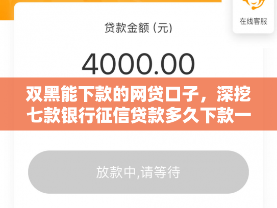 双黑能下款的网贷口子，深挖七款银行征信贷款多久下款一次