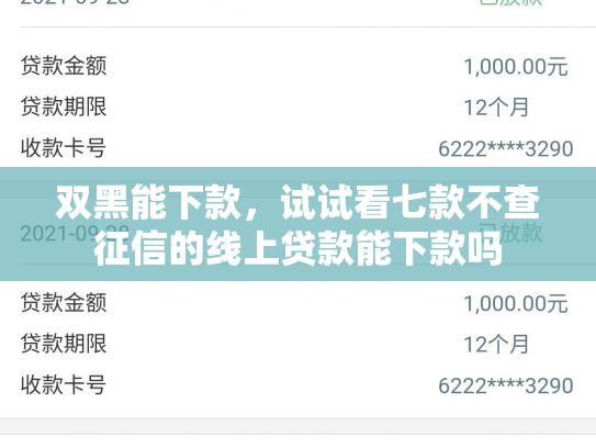 双黑能下款，试试看七款不查征信的线上贷款能下款吗