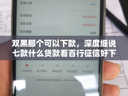 双黑那个可以下款，深度细说七款什么贷款看百行征信好下款