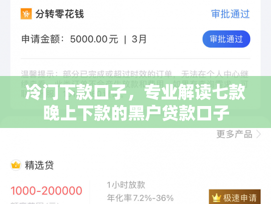 冷门下款口子，专业解读七款晚上下款的黑户贷款口子