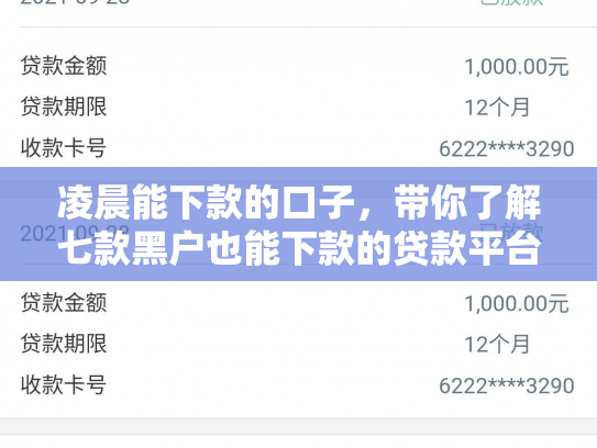 凌晨能下款的口子，带你了解七款黑户也能下款的贷款平台