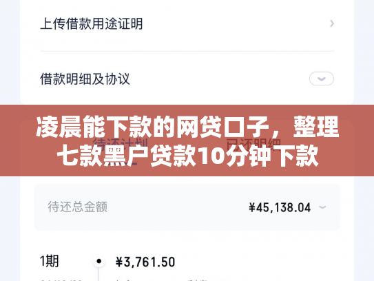 凌晨能下款的网贷口子，整理七款黑户贷款10分钟下款