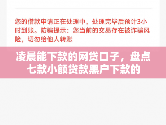 凌晨能下款的网贷口子，盘点七款小额贷款黑户下款的