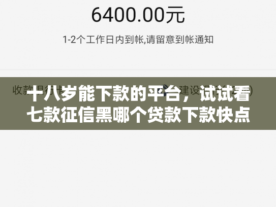 十八岁能下款的平台，试试看七款征信黑哪个贷款下款快点