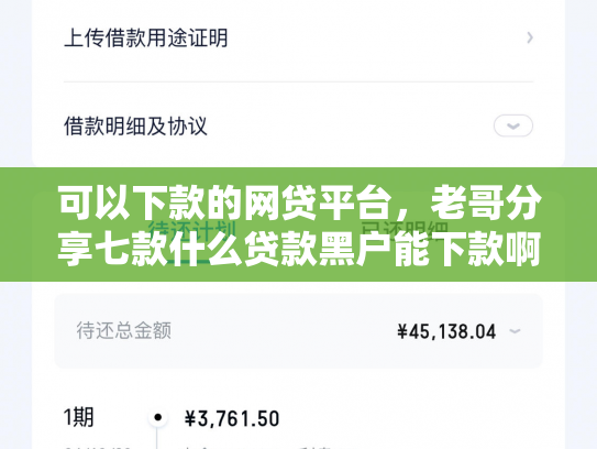 可以下款的网贷平台，老哥分享七款什么贷款黑户能下款啊