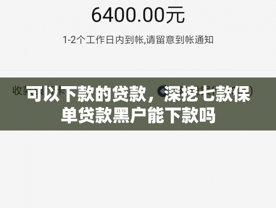 可以下款的贷款，深挖七款保单贷款黑户能下款吗