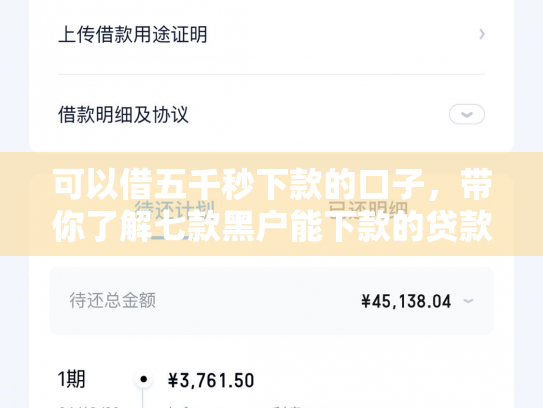 可以借五千秒下款的口子，带你了解七款黑户能下款的贷款机构