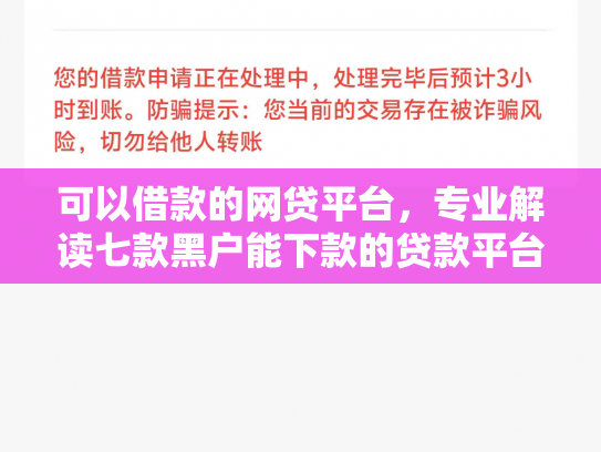 可以借款的网贷平台，专业解读七款黑户能下款的贷款平台