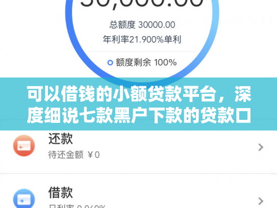 可以借钱的小额贷款平台，深度细说七款黑户下款的贷款口子
