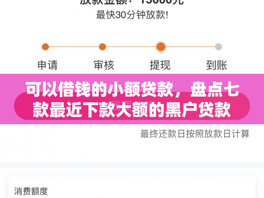 可以借钱的小额贷款，盘点七款最近下款大额的黑户贷款