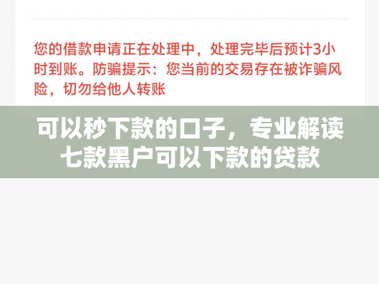 可以秒下款的口子，专业解读七款黑户可以下款的贷款