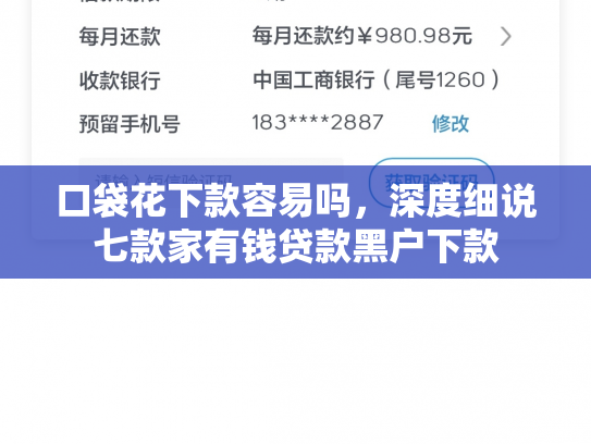 口袋花下款容易吗，深度细说七款家有钱贷款黑户下款
