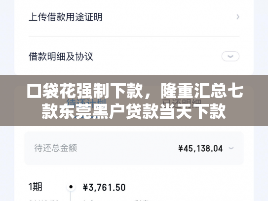 口袋花强制下款，隆重汇总七款东莞黑户贷款当天下款