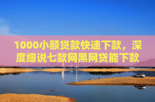 1000小额贷款快速下款，深度细说七款网黑网贷能下款的口子