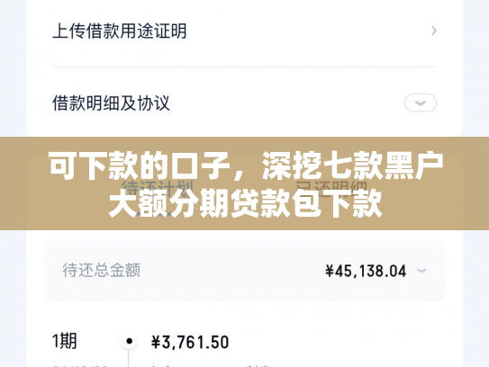 可下款的口子，深挖七款黑户大额分期贷款包下款