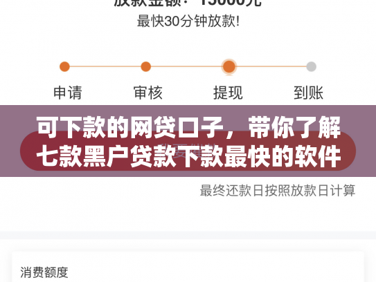 可下款的网贷口子，带你了解七款黑户贷款下款最快的软件