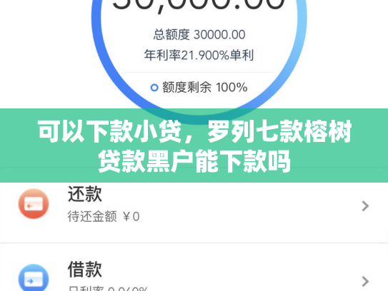可以下款小贷，罗列七款榕树贷款黑户能下款吗