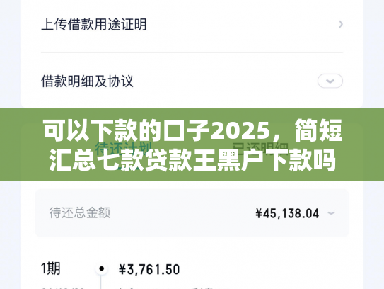 可以下款的口子2025，简短汇总七款贷款王黑户下款吗