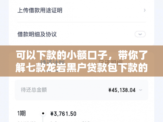 可以下款的小额口子，带你了解七款龙岩黑户贷款包下款的