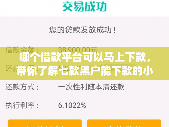 哪个借款平台可以马上下款，带你了解七款黑户能下款的小额贷款app