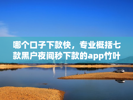 哪个口子下款快，专业概括七款黑户夜间秒下款的app竹叶贷