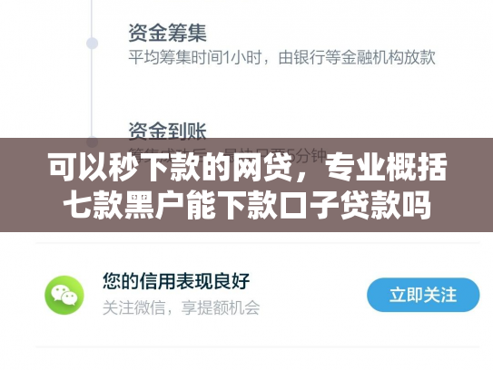 可以秒下款的网贷，专业概括七款黑户能下款口子贷款吗