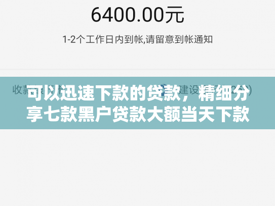 可以迅速下款的贷款，精细分享七款黑户贷款大额当天下款